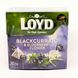 Чай LOYD Blackcurrant & Elderberry фруктовий із чорною смородиною і квітами чорної бузини 20 ріоамідок 20220105148 фото 1